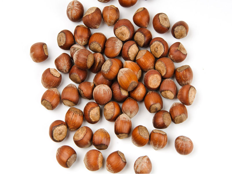 Kabuklu Fındık