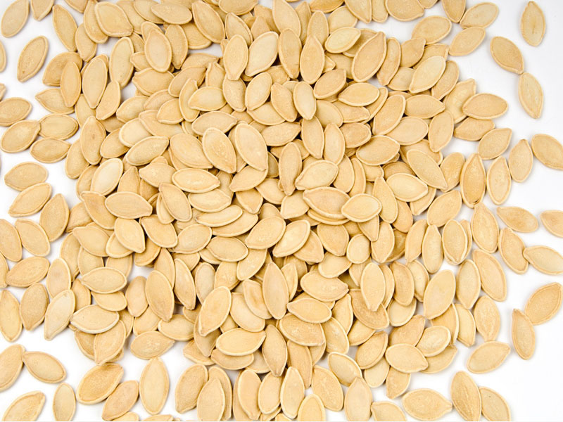 Nevşehir İri Sarı Kabak Çekirdeği